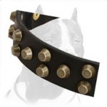 Lovely Leather Pitbull Collar