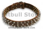 Leather Brown collar 25'' for PITBULL /25 inch dog collar - S44