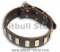 PITBULL Quality Brown dog collar 20 inch/20'' collar - S33p