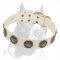 White Leather Dog Collar for Pitbull Exclusive Hand-Made Design