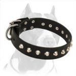'Mighty King' Pitbull Dog Collar
