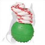 'Joy & Train' Pitbull Dog Solid Rubber Ball