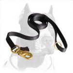 Functional Pitbull Dog Leash of Nylon Material
