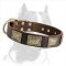 Extravagant Leather Dog Collar with Plates for Walking Pitbull