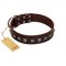 "Kingly Grace" FDT Artisan Brown Leather Pitbull Collar with Silver-like Dotted Studs