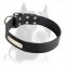 Pitbull Leather Collar with Stainless Steel Name Plate