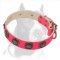 Lovely Pink Pitbull Dog Collar Decorated with Blue Stones