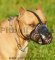 Best Art Leather dog muzzle for Pit bulls/ Pit Bull Terrier