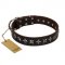 "Stars of Glory" FDT Artisan Brown Leather Pitbull Collar for Comfortable Walking