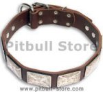 Leather Brown collar 25'' for PITBULL /25 inch dog collar -c83