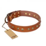 'Spring Flavor' FDT Artisan Pitbull Tan Leather Dog Collar with Old Bronze-Like Plated Engraved Studs 1 1/2 inch (40 mm) wide