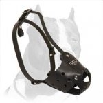Everyday Pit bull Leather muzzle-Dog Muzzle for Pitbull Terrier
