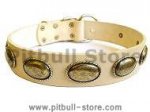 Retro Rulz - Gorgeous Vintage Dog Leather Collar - C103