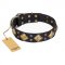 "Fancy-Schmancy" FDT Artisan Black Topnotch Leather Pitbull Collar