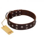 "Brown Shadow" Designer Handmade FDT Artisan Brown Leather Pitbull Collar