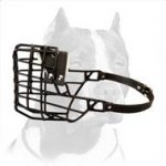 Pitbull Wire Basket Muzzle for Winter Walking