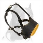 Anti-Barking Leather Dog Muzzle for Pitbull