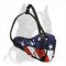 Pitbull Hand-painted Leather Dog Muzzle