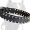 Top class Leather Spiked Collar for your Pitbull