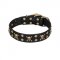 'Jolly Rojer' FDT Artisan Leather Pitbull Collar with Pirate Skulls and Studs - 1 1/2 inch (40 mm) wide