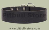 Pitbull 2 inch wide Leather Dog Collar for EVERYDAY