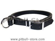 Adjustable Leather Slip Collar for Pitbull
