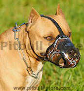 Best Art Leather dog muzzle for Pit bulls/ Pit Bull Terrier