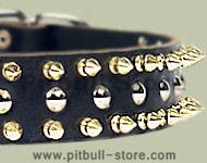 Black Leather Spiked Studded Dog Collar for Pitbull