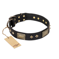 'Jewel Passion' FDT Artisan Fashionable Black Leather Pitbull Dog Collar