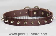 Handmade Leather Spikes Dog Collar-1 row with Silver Spikes