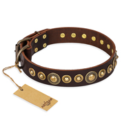 'Ancient Warrior' Pitbull Brown Leather Dog Collar