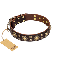 'Flower Melody' FDT Artisan Brown Leather Dog Collar with Mixed Studs