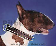 Bullterrier Leather Spiked Dog Collar - 2 Rows of spikes