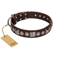 'Pierian spring' FDT Artisan Brown Leather Pitbull Dog Collar with Silvery Decorations - 1 1/2 inch (40 mm) wide