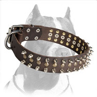 Spiked and Studded Leather Pitbull Dog Collar