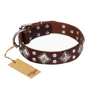 "King of Grace" Brown Natural Leather Pitbull Collar