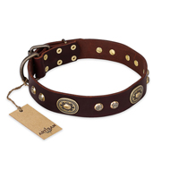 'Breath of Elegance' FDT Artisan Decorated with Plates Brown Leather Pitbull Collar