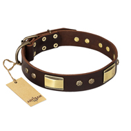 FDT Artisan 'Rich Fashion' Decorated Leather Pitbull Collar with Plates and Studs - 1 1/2 inch (40 mm) wide