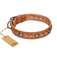 'Daily Chic' FDT Artisan Tan Leather Pitbull Collar with Decorations