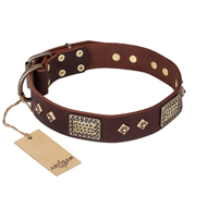 FDT Artisan 'Loving Owner' Decorated Leather Pitbull Dog Collar with Plates and Studs 1 1/2 inch (40 mm)