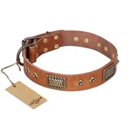 'Catchy Look' FDT Artisan Decorated Tan Leather Pitbull Collar