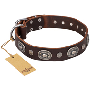 'Extra Pizzazz' FDT Artisan Adorned Brown Leather Pitbull Collar