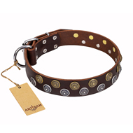 'Strong Shields' FDT Artisan Leather Pitbull Collar with Fancy Adornment - 1 1/2 inch (40 mm) wide