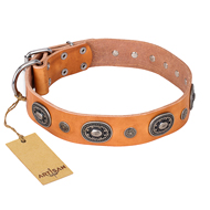 'Twinkle Twinkle' FDT Artisan Incredible Studded Tan Leather Pitbull Collar with Silver-Like Circles