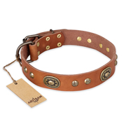 'Stunning Dress' Handcrafted FDT Artisan Tan Leather Pitbull Collar - 1 1/2 inch (40 mm) wide