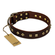'Fashion Studs' FDT Artisan Decorated Brown Leather Pitbull Collar with Old Bronze-Plated Steel Hardware 1 1/2 inch (40 mm) Wide