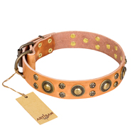 'Sophisticated Glamor' FDT Artisan Pitbull Leather Collar with Old-bronze Plated Adornments