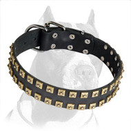 Handcrafted Pitbull Dog Collar Leather - Plus - Studs