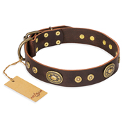 'One-of-a-Kind' FDT Artisan Pitbull Brown Leather Dog Collar with Studs