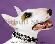 BullTerrier Royal Nappa Padded Hand Made Leather dog collar